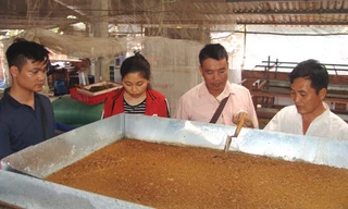 Ông Bé đang hướng dẫn kỹ thuật nuôi ruồi lính đen cho khách. Ảnh: Trần Đáng.