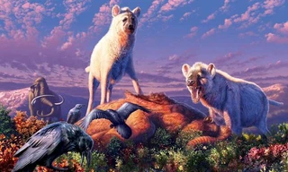 "Đối với tôi, điều hoàn toàn đáng chú ý là chúng đã sống ở phía bắc xa xôi", đồng tác giả nghiên cứu, nhà nghiên cứu cổ sinh vật học Grant Zazula cho biết.