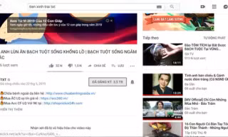 Nhiều kênh YouTube nổi tiếng vừa bị khóa comment Ảnh: CHÁNH TRUNG