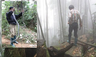 Theo chia sẻ của “phường săn rắn”, để bán rắn được giá thì nhất thiết phải bắt sống (ảnh nhỏ). Để bắt được rắn độc có giá thành cao, các tay săn thường lùng sục ở các bụi rậm, hang hốc nơi rắn trú ngụ. Ảnh: Nhật Tân