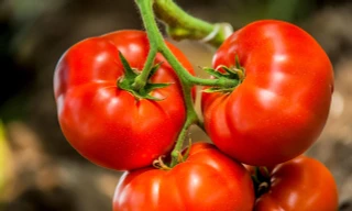 Những món ăn 'cực hại' với người bị huyết áp thấp