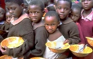 Cảnh bảo nguy cơ khủng hoảng lương thực