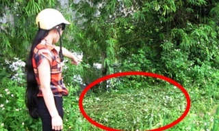 Nữ thẩm phán tự tử gần nghĩa trang