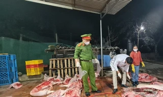 Hiện trường vụ việc