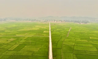 Mường Thanh - từ cánh đồng bom mìn thành vựa lúa vùng Tây Bắc