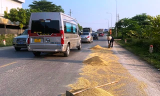 Mùa gặt về, thóc lại đầy quốc lộ, đồng ruộng bắt đầu hun khói 