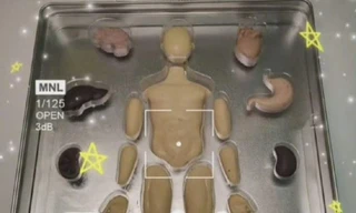 Sinh viên ngành Y nên tặng bạn gái quà gì ngày Valentine trắng để tạo ấn tượng khó phai?