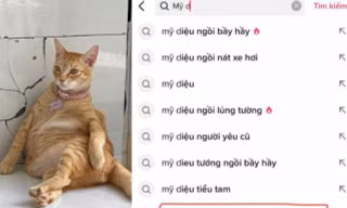 "Idol Tóp Tóp" Mỹ Diệu: Dáng ngồi "bầy hầy" cũng khiến cõi mạng dậy sóng