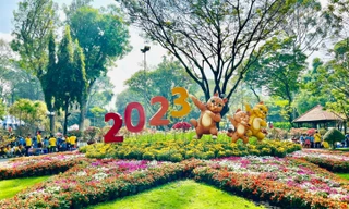 Ngắm muôn hoa khoe sắc tại Hội hoa Xuân Tao Đàn và chợ hoa "Trên bến dưới thuyền"