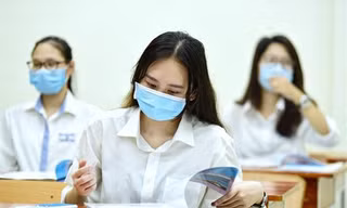 Nguồn: Bộ GD&ĐT