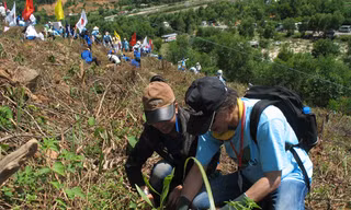 Học sinh Huế và tình nguyện viên Nhật Bản trồng rừng giao lưu đợt hai. Ảnh: Thanh Tùng