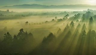 Ngắm 'Sương sớm Bảo Lộc' nhất Khoảnh khắc Việt Nam