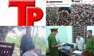 Bản tin Hình sự: Tìm kiếm thiếu nữ mất liên lạc với gia đình gần 20 ngày