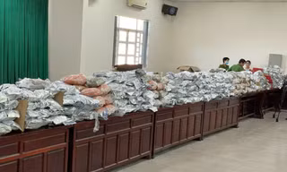 Triệt phá đường dây vận chuyển hàng tấn cần sa về Việt Nam 