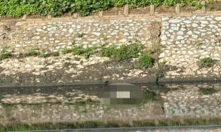 Hà Nội: Phát hiện thi thể nam giới nổi trên sông Tô Lịch