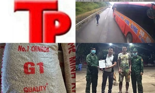 Bản tin Hình sự: Nhóm người sinh hoạt Hội thánh Đức chúa trời mẹ đưa cả trẻ em theo