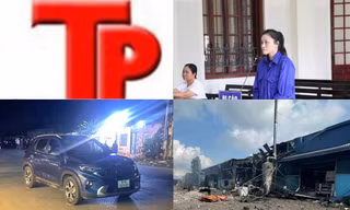 Bản tin Hình sự: 'Thầy tướng số' lừa kêu gọi góp vốn gần 270 tỉ đồng