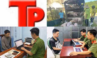 Bản tin Hình sự: Nhiều người ‘sập bẫy’ lừa đi lao động, định cư ở Mỹ