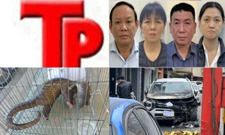 Bản tin Hình sự: Hai bố con chủ tiệm vàng tóm gọn tên cướp cầm dao