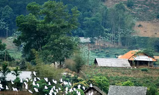 Từ bản Dõn về Thủ đô