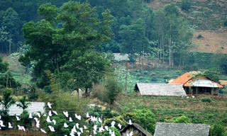 Từ bản Dõn về Thủ đô