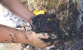 Hành trình truy dấu ô nhiễm nguồn nước sông Đà