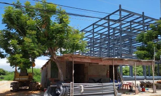 Cùng một công văn số 2444 nhưng do 2 lãnh đạo Sở Xây dựng Ninh Thuận ký Ảnh: Lữ Hồ