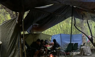 Một bãi ém quân trong rừng của người Việt ở Pháp