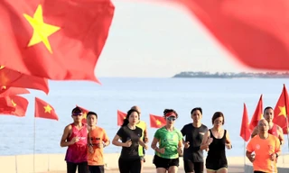 Tỏi Lý Sơn bây giờ. Ảnh: Nguyễn Ngọc 