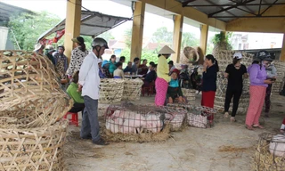 Chưa bao giờ, người ngồi không lại nhiều hơn người mua bán và bồng heo trong chợ Bà Rén như những ngày “bão” dịch này Ảnh: Thanh Trần