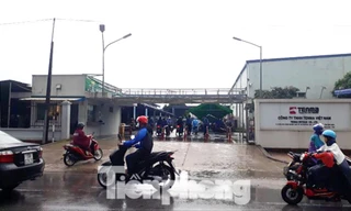 Cty Tenma Việt NamẢNH: Nguyễn Thắng