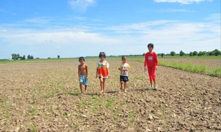 Đồng ruộng khô cằn