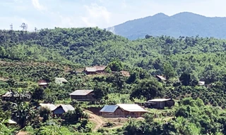 Ngôi làng "mọc" giữa rừng phòng hộ TK 181