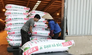 Nhiều doanh nghiệp sản xuất phân bón trong nước điêu đứng vì phân bón giả, nhái và phân bón nhập khẩu từ các nướcẢnh: Thục Quyên