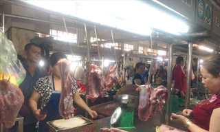 Tiểu thương “choáng” vì giá heo tăng chưa có điểm dừng