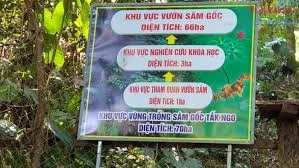 Công bố điểm du lịch vườn sâm Ngọc Linh - Tăk Ngo