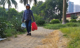 Cây dại, cỏ dọc các tuyến đường dạo tại Công viên 1/6 héo vàng rồi chết