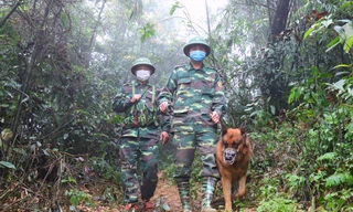 Bộ Quốc phòng chỉ đạo lắp camera trên biên giới chống xuất nhập cảnh trái phép