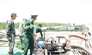 Tạm giữ 3 xà lan chở hơn 1.700 khối cát biển