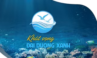 Cầu truyền hình 'Khát vọng Đại dương xanh'