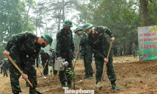 Đoàn viên thanh niên Bộ Tư lệnh Bảo vệ Lăng Chủ tịch Hồ Chí Minh hưởng ứng Tết trồng cây 2021 tại Khu di tích K9, ngày 12/3