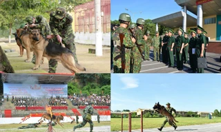Chó nghiệp vụ Biên phòng Việt Nam sẽ thi tài tại Army Games 2020