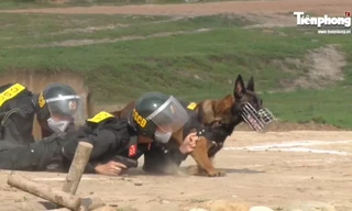 Cận cảnh chiến binh đặc biệt ‘săn’ tội phạm