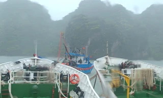 Hải quân cứu nhiều người gặp nạn trên biển do bão số 3