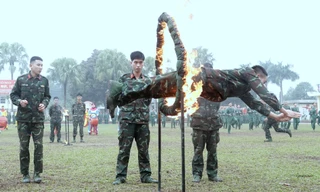 Chiến sĩ Quân đoàn 12 biểu diễn võ thuật, đồng diễn đẹp mắt