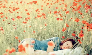 Những bức ảnh đầy chất thơ về phụ nữ