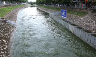 Chuyên gia Nhật nói đã có cách giữ vi sinh vật không trôi theo nước hồ Tây