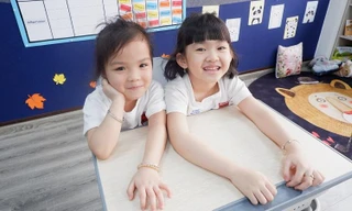 Sunshine Maple Bear là trường tiểu học quốc tế đầu tiên tại Việt Nam mua bản quyền chương trình Maple Bear của Canada