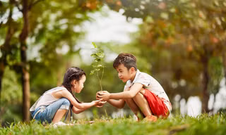 Không gian trong lành xanh mát trong khu đô thị Gamuda Gardens, Hoàng Mai.