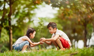 Không gian trong lành xanh mát trong khu đô thị Gamuda Gardens, Hoàng Mai.